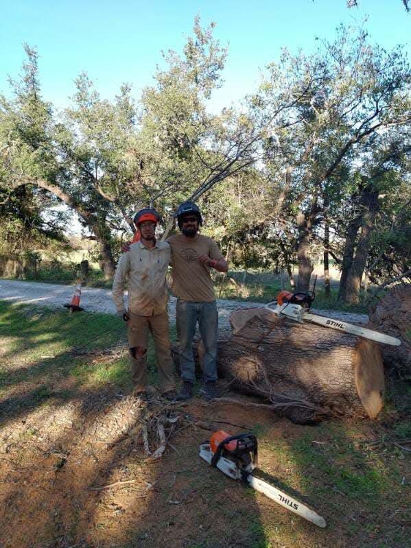 Storm damage cleanup and emergency tree service