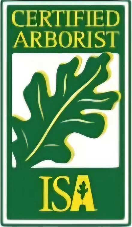 ISA Badge